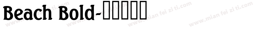 Beach Bold字体转换